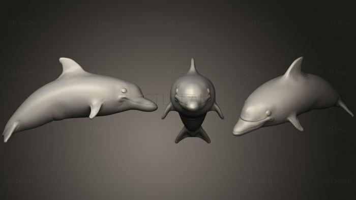 3D model Dolphin (3) (STL)